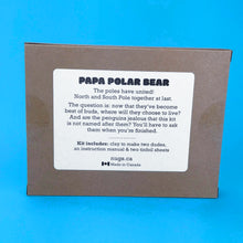 Load image into Gallery viewer, Make Your Own Papa Polar Bear Kit! Each kit makes two Polar Bears
